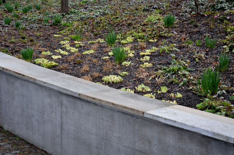 Common Problems With Aging Concrete Retaining Walls