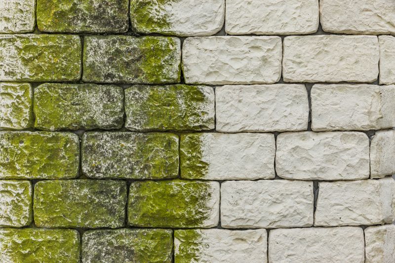 Seawall Installation